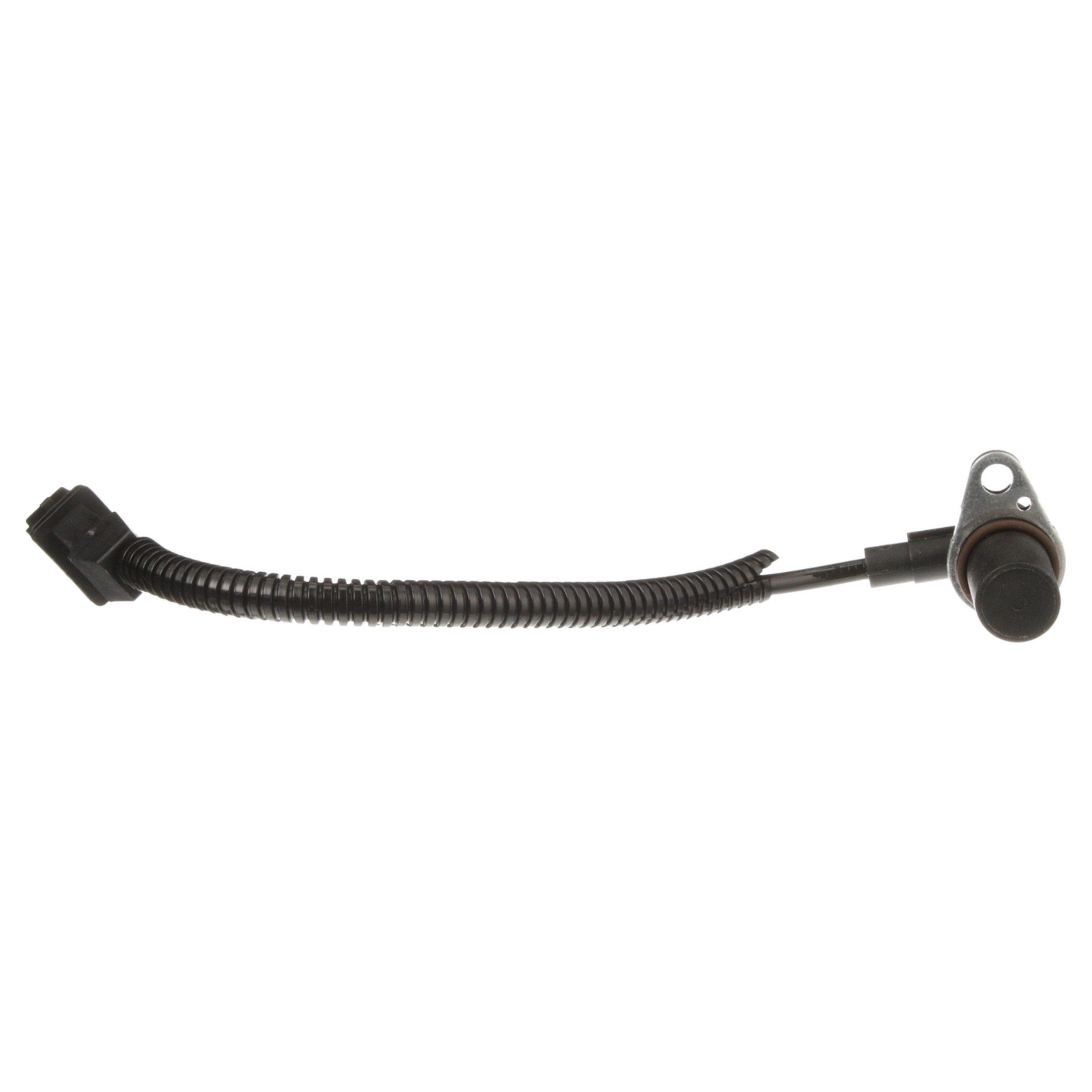 Engine Camshaft Position Sensor