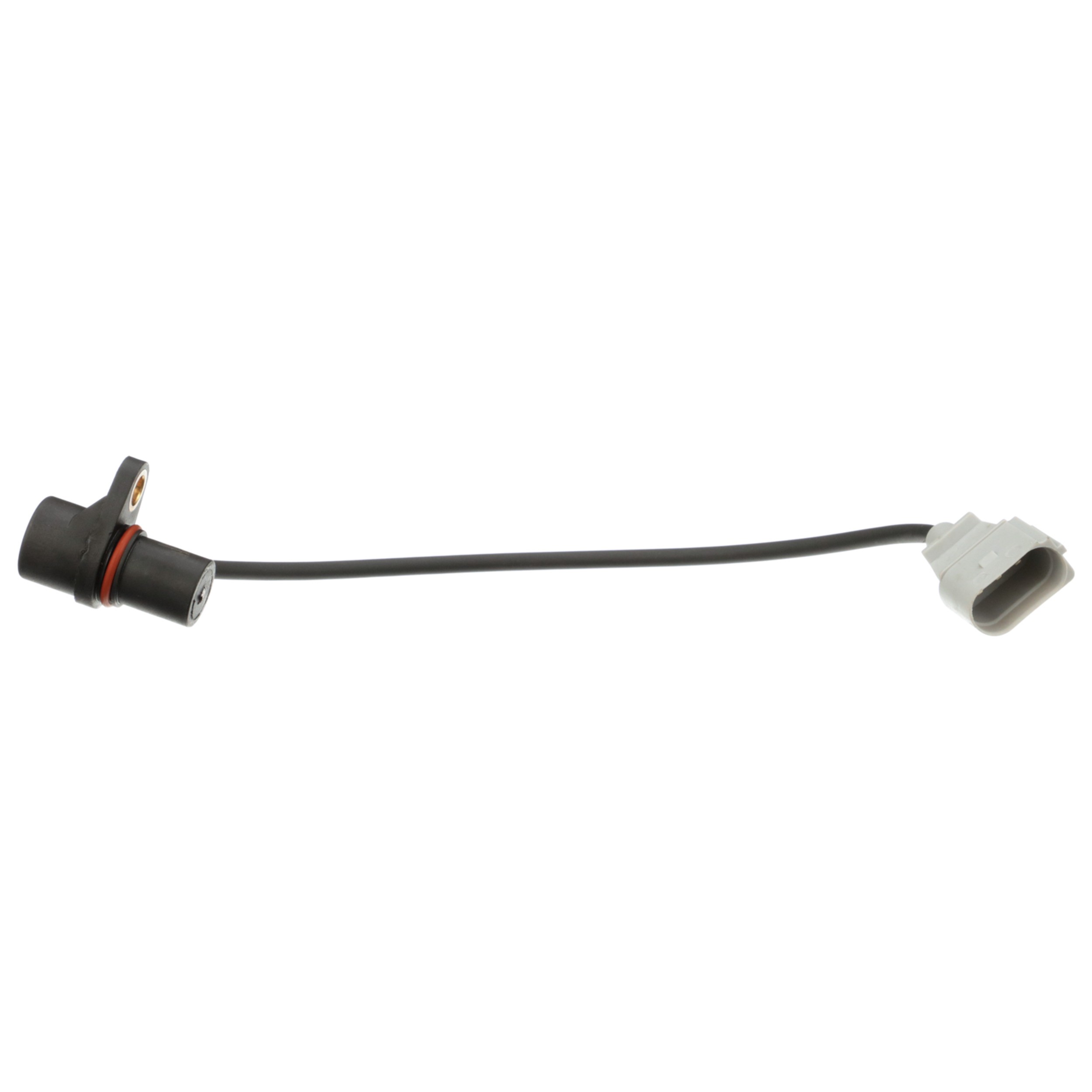 Engine Crankshaft Position Sensor