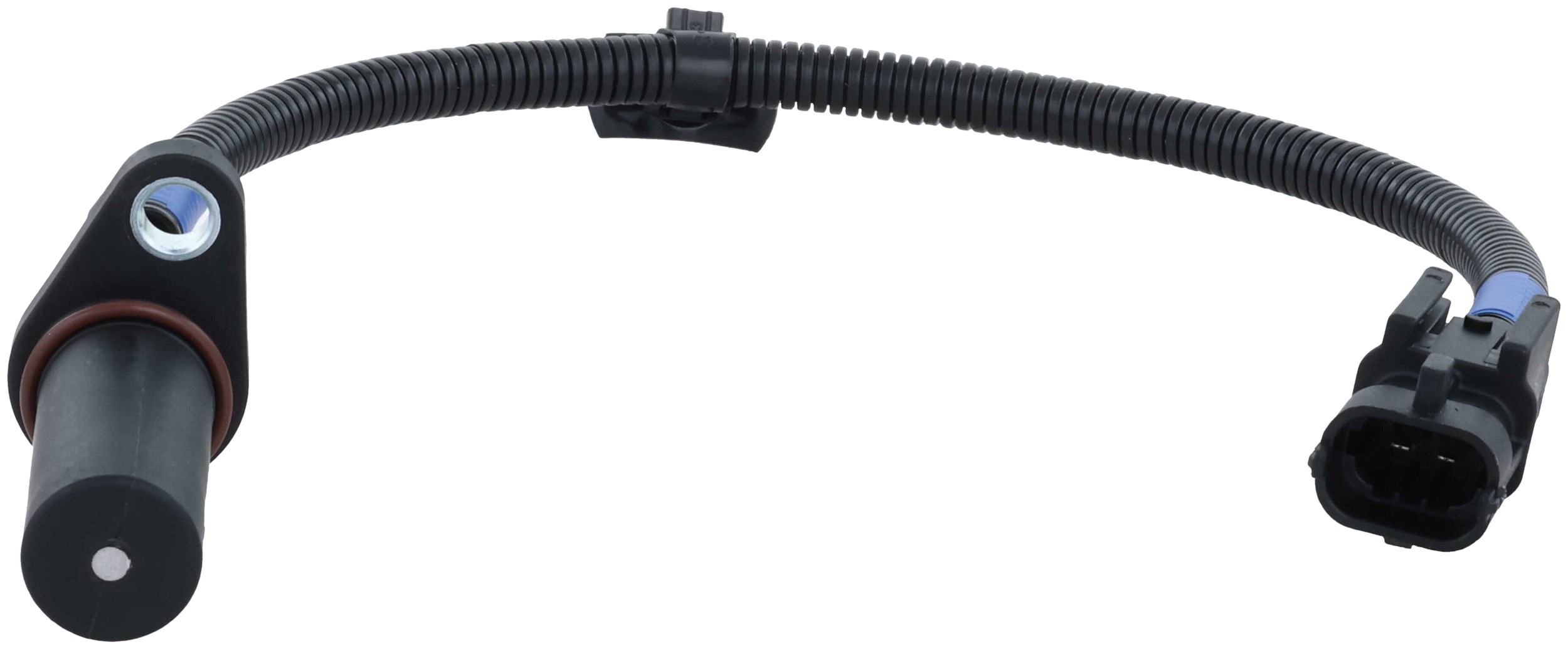 Engine Crankshaft Position Sensor