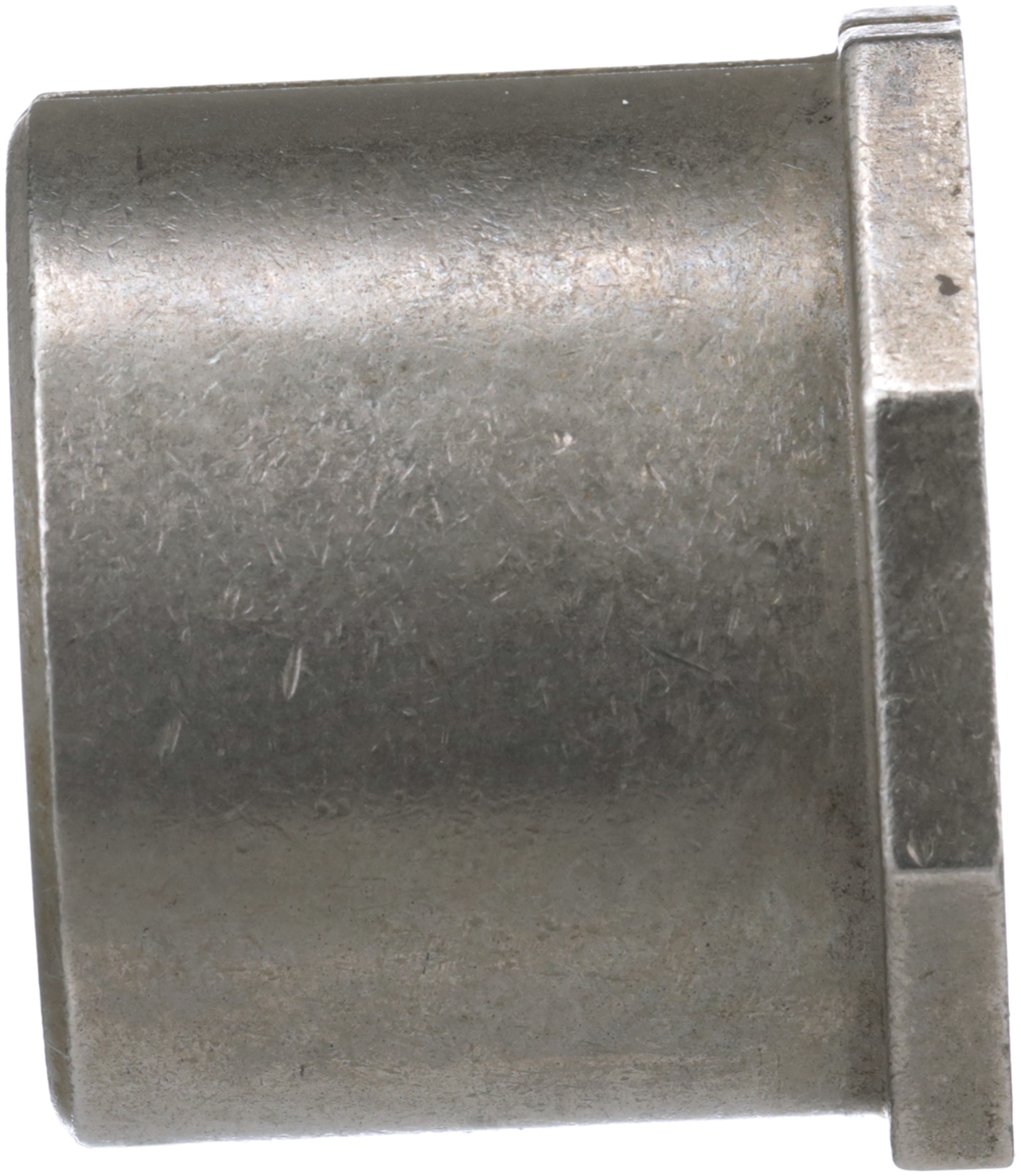 Alignment Caster / Camber Bushing