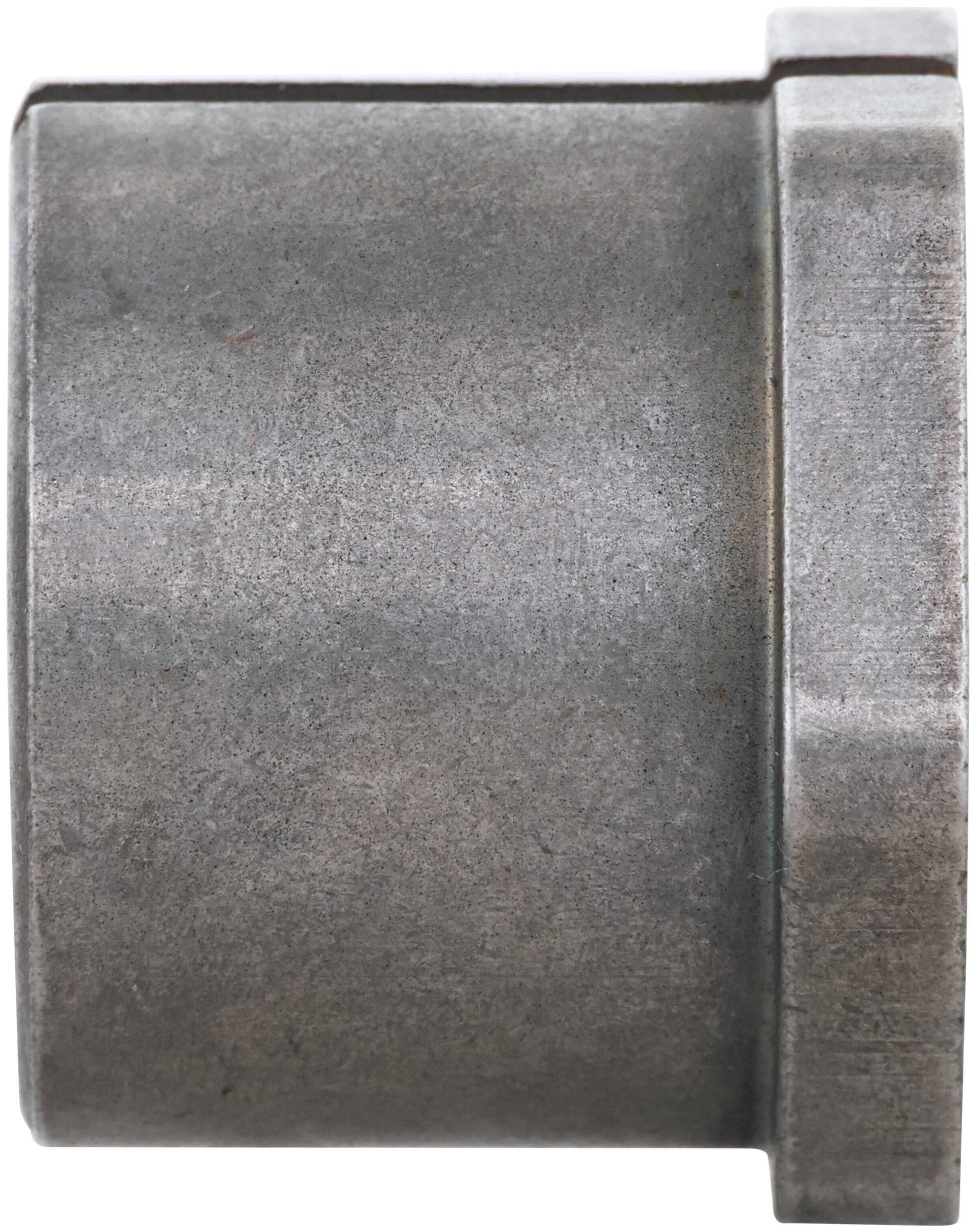 Alignment Caster / Camber Bushing