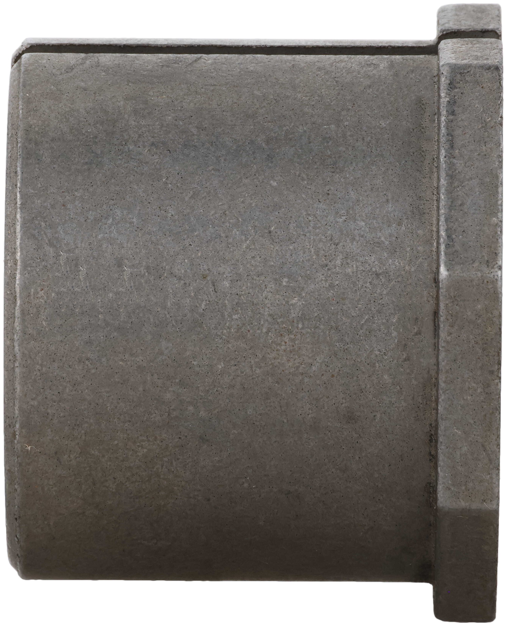 Alignment Caster / Camber Bushing