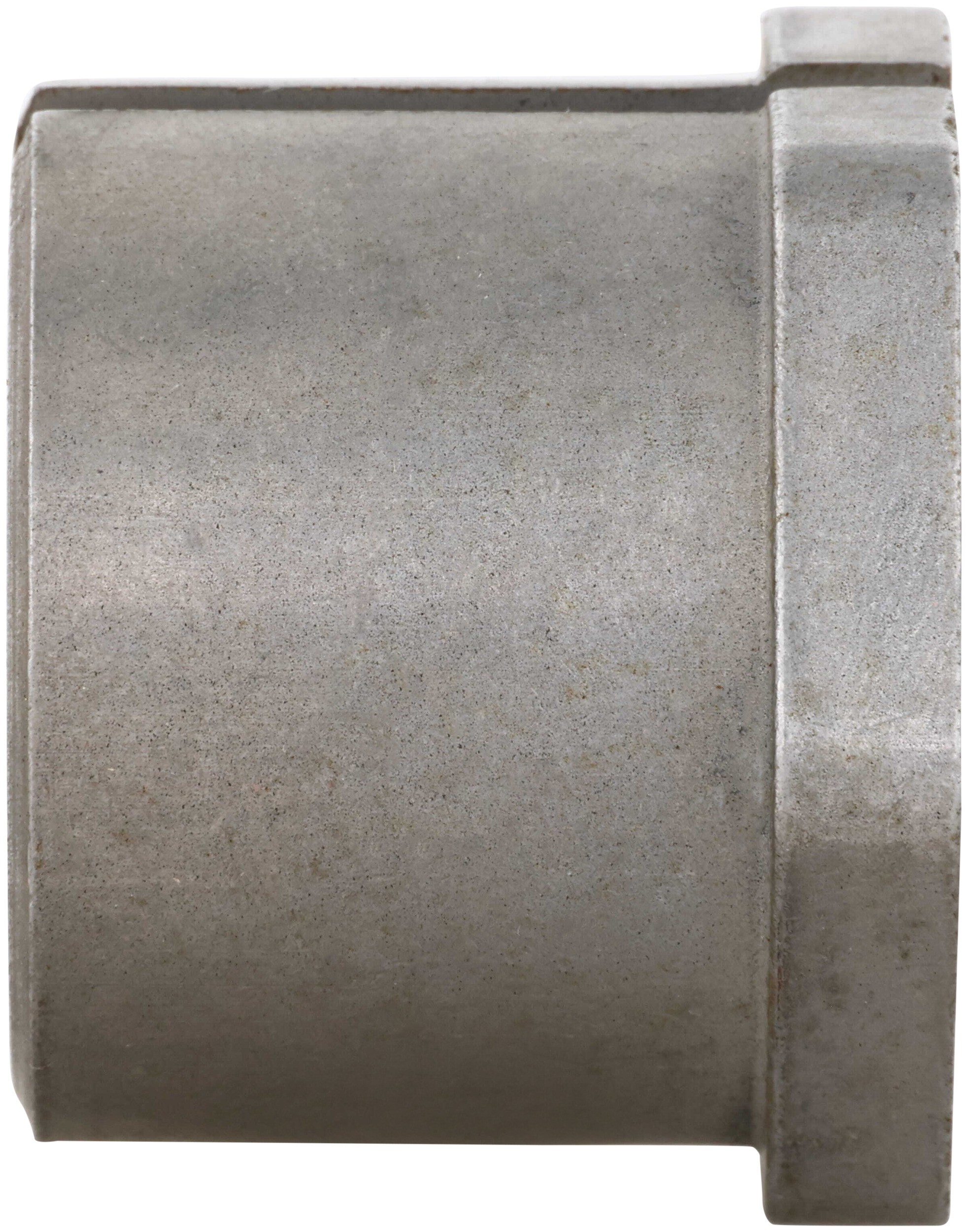 Alignment Caster / Camber Bushing