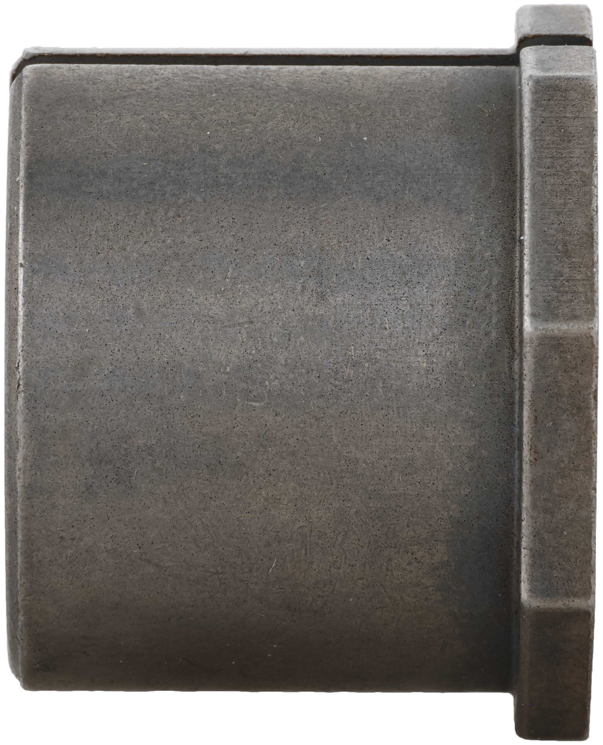 Alignment Caster / Camber Bushing