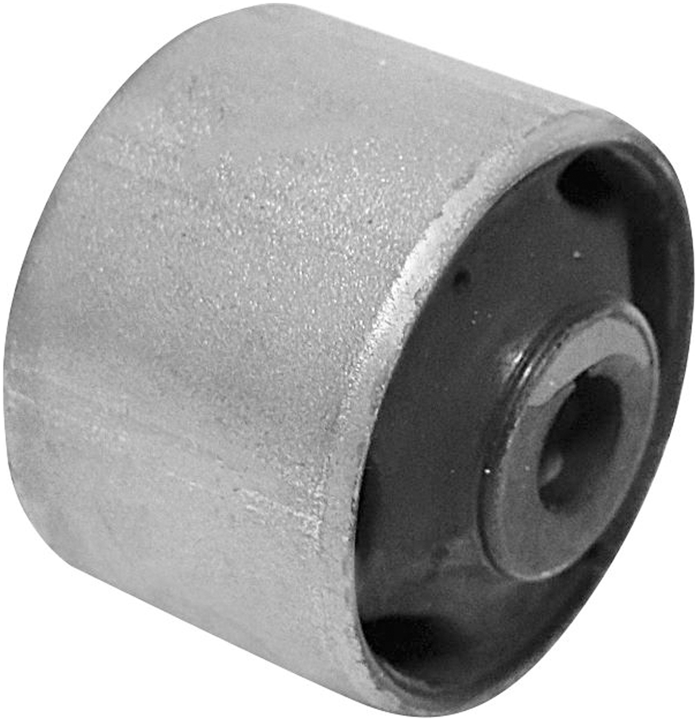 Suspension Trailing Arm Bushing