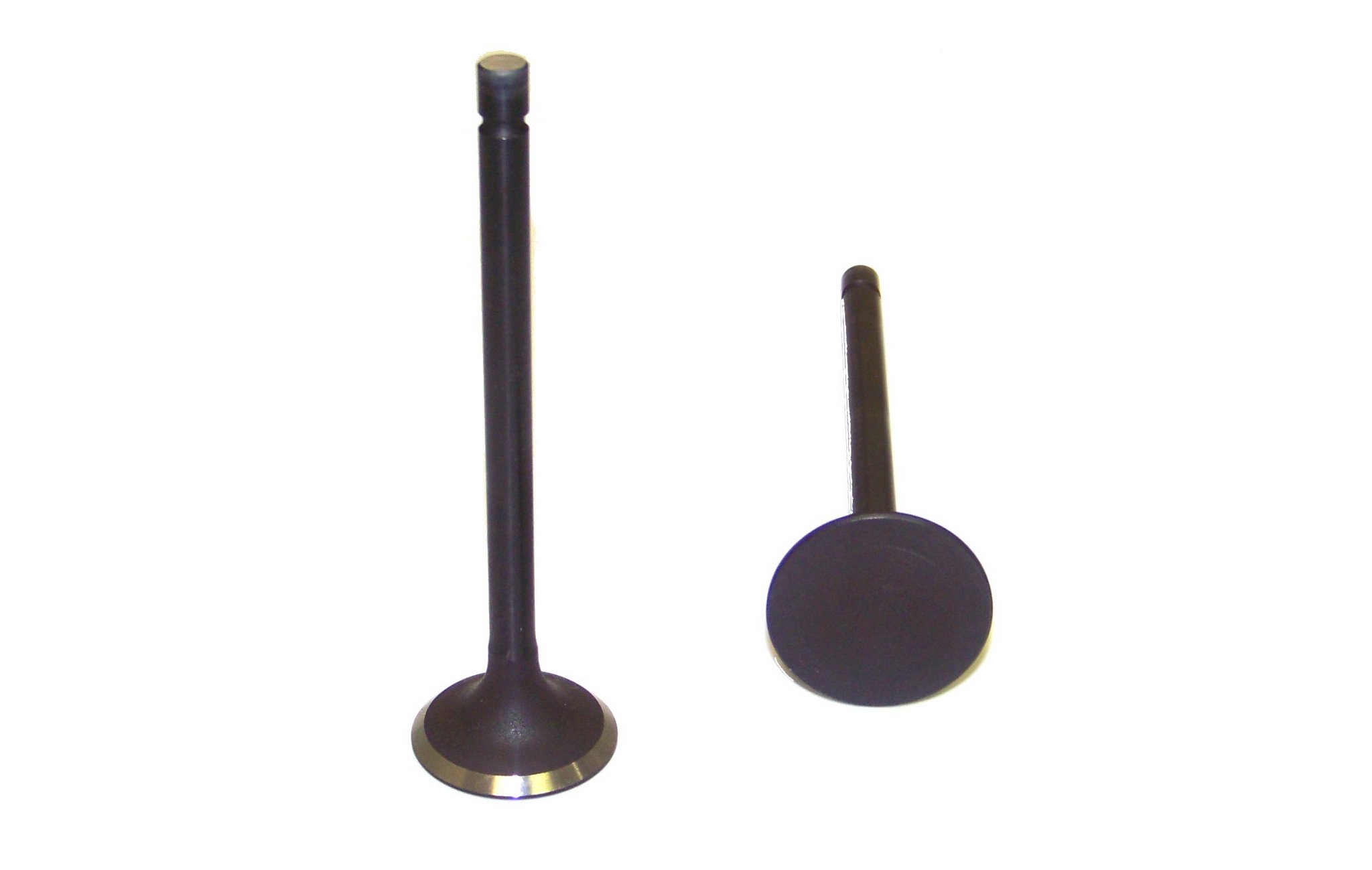Engine Cylinder Head Valve Train Exhaust Valve