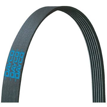 POLY RIB BELT, DAYCO