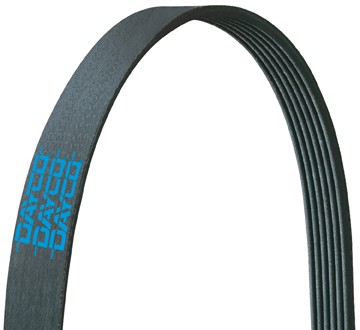 POLY RIB BELT, DAYCO