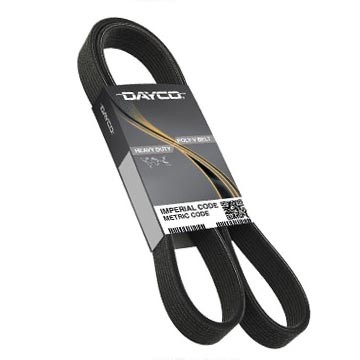 POLY RIB BELT, DAYCO