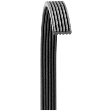 POLY RIB BELT, DAYCO