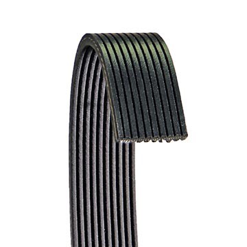 POLY RIB BELT, DAYCO