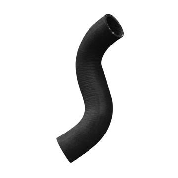 CURVED RADIATOR HOSE, DAYCO