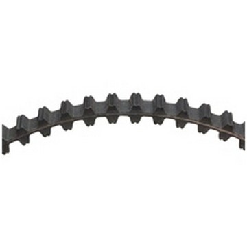 TIMING BELT, DAYCO