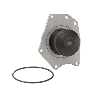 WATER PUMP-AUTO/LIGHT TRUCK, DAYCO