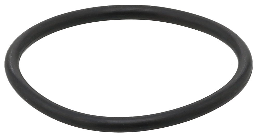 Gasket, Thermostat Housing