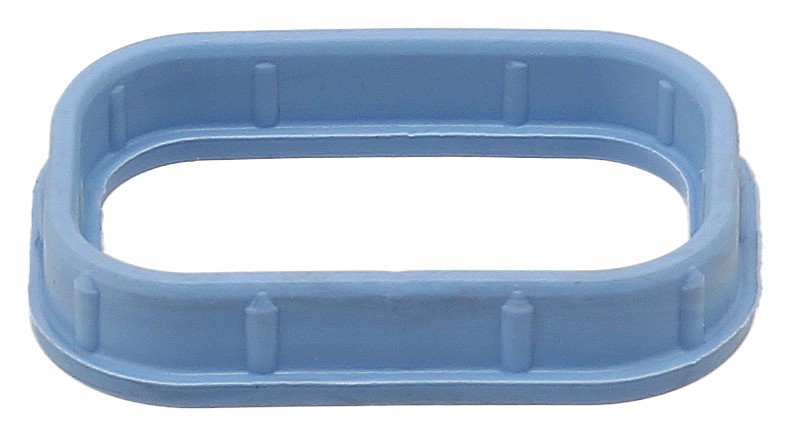 Gasket, Intake Manifold