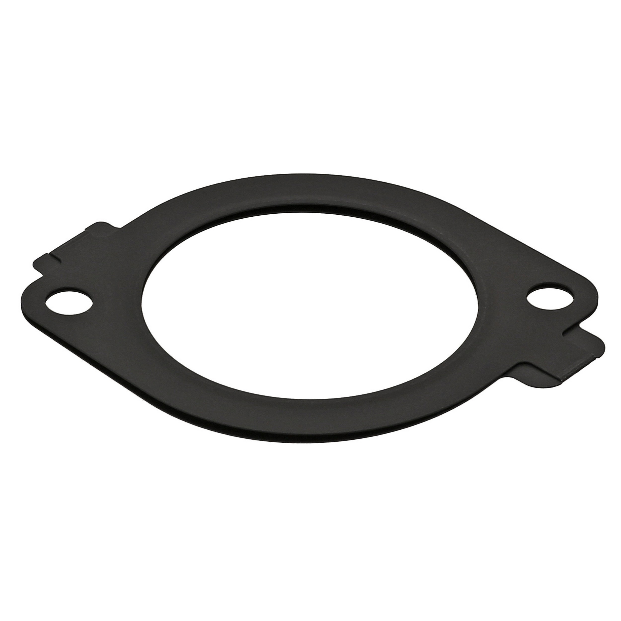 Seal, Throttle Body Mounting