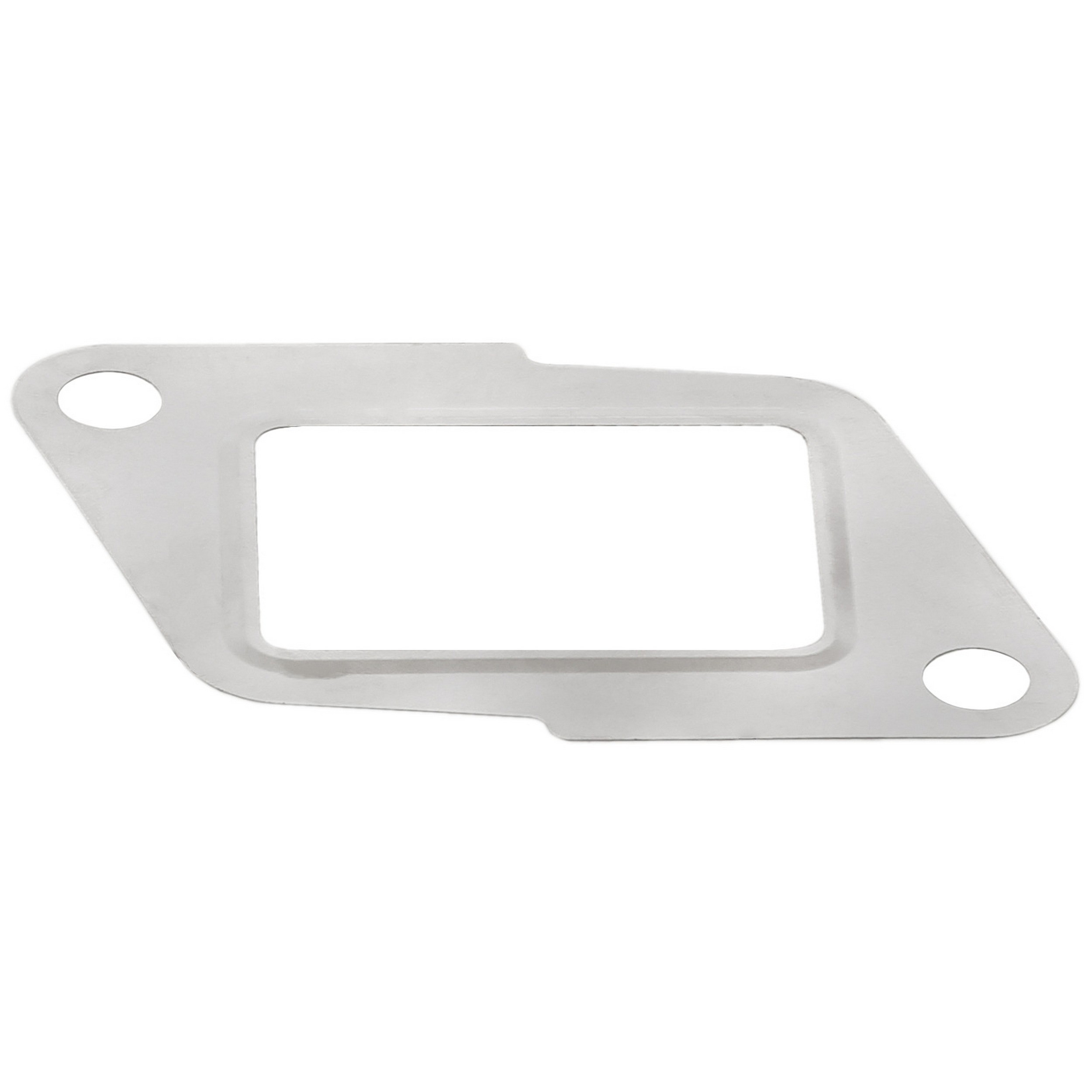 Gasket, EGR Valve