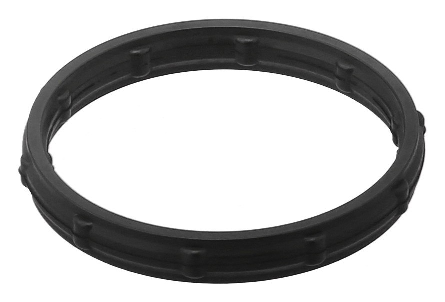 Gasket, Intake Manifold