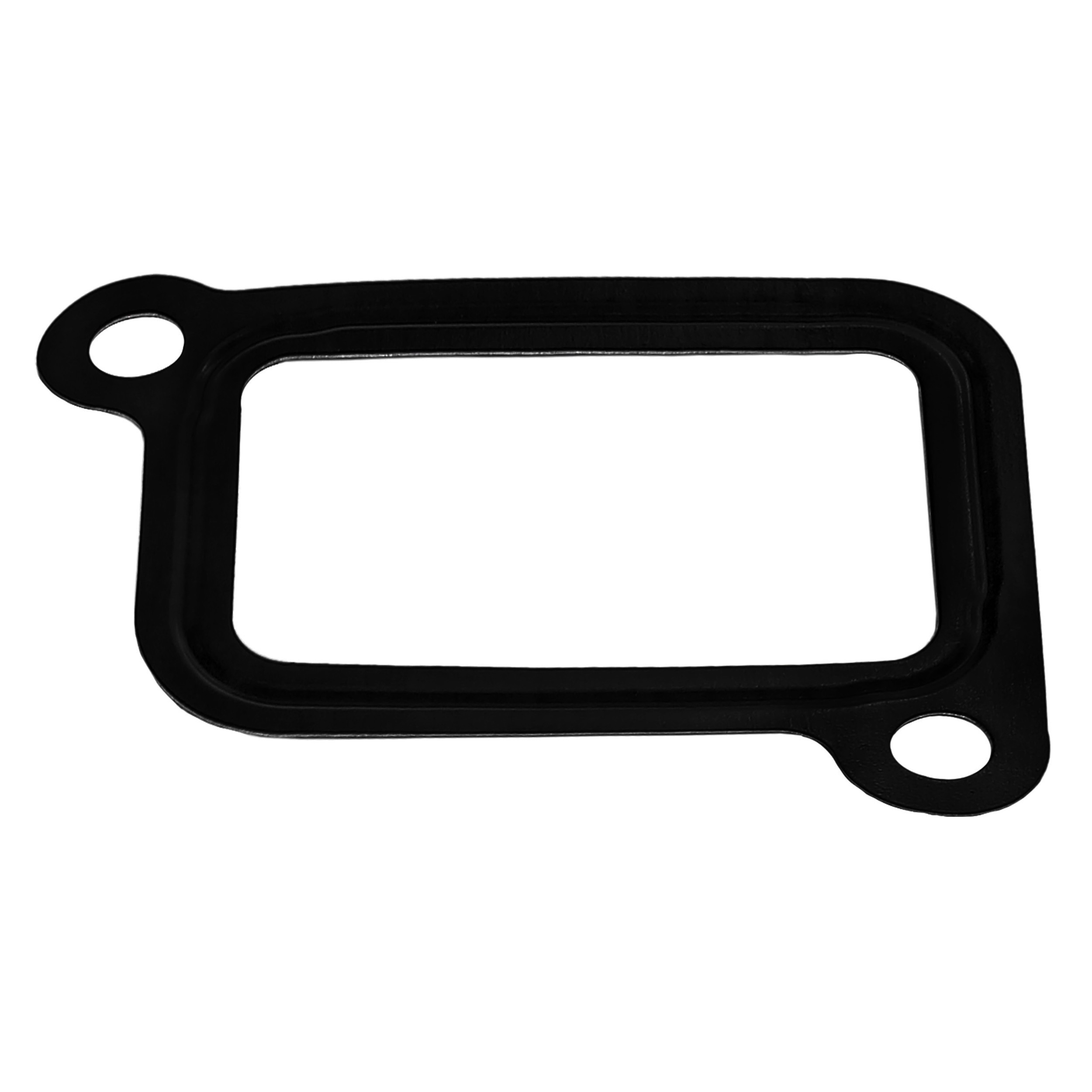 Gasket, Crankcase Cover