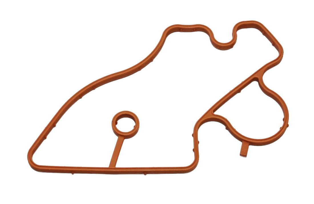 Gasket, Coolant Flange