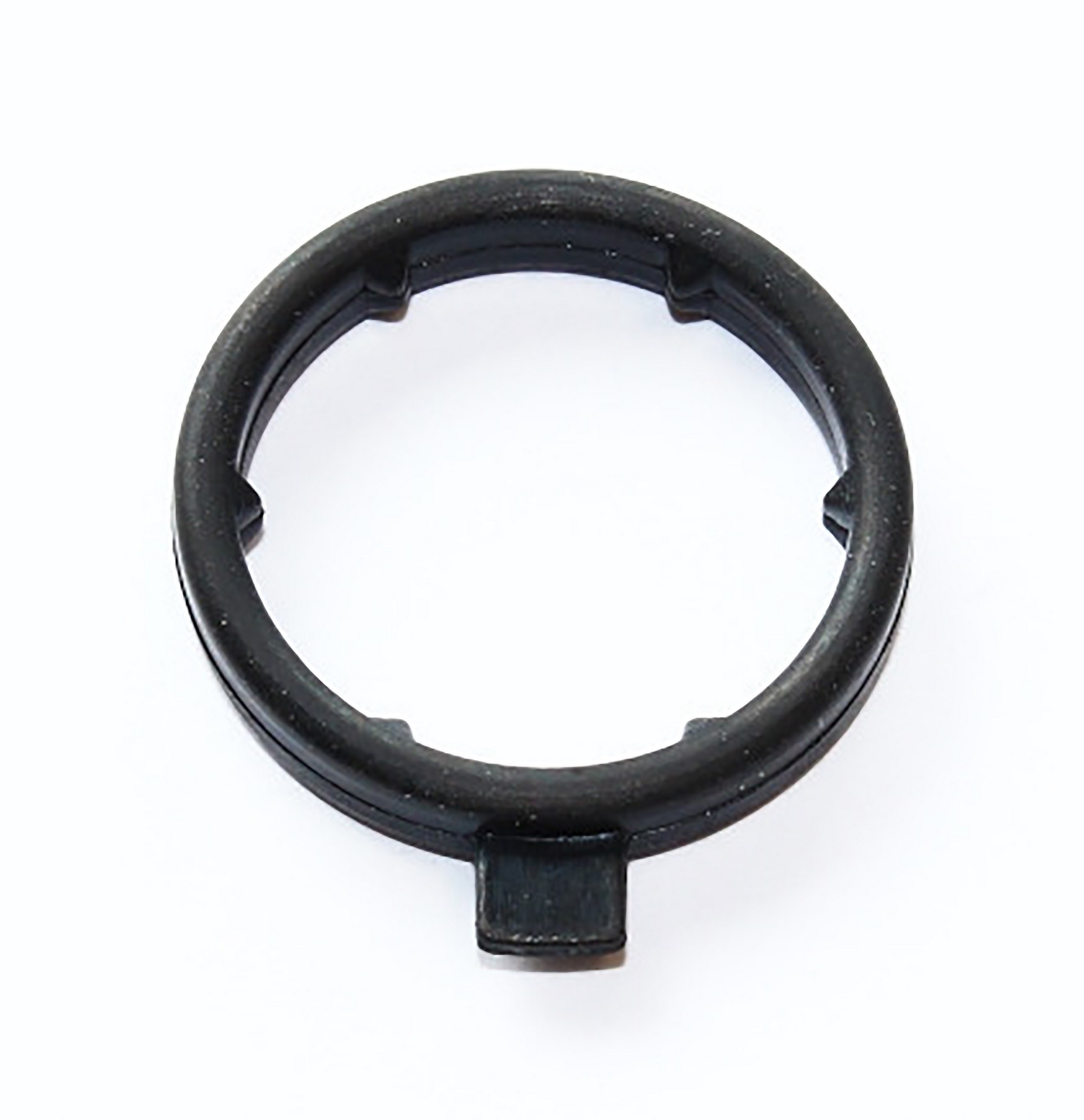Gasket, Coolant Flange