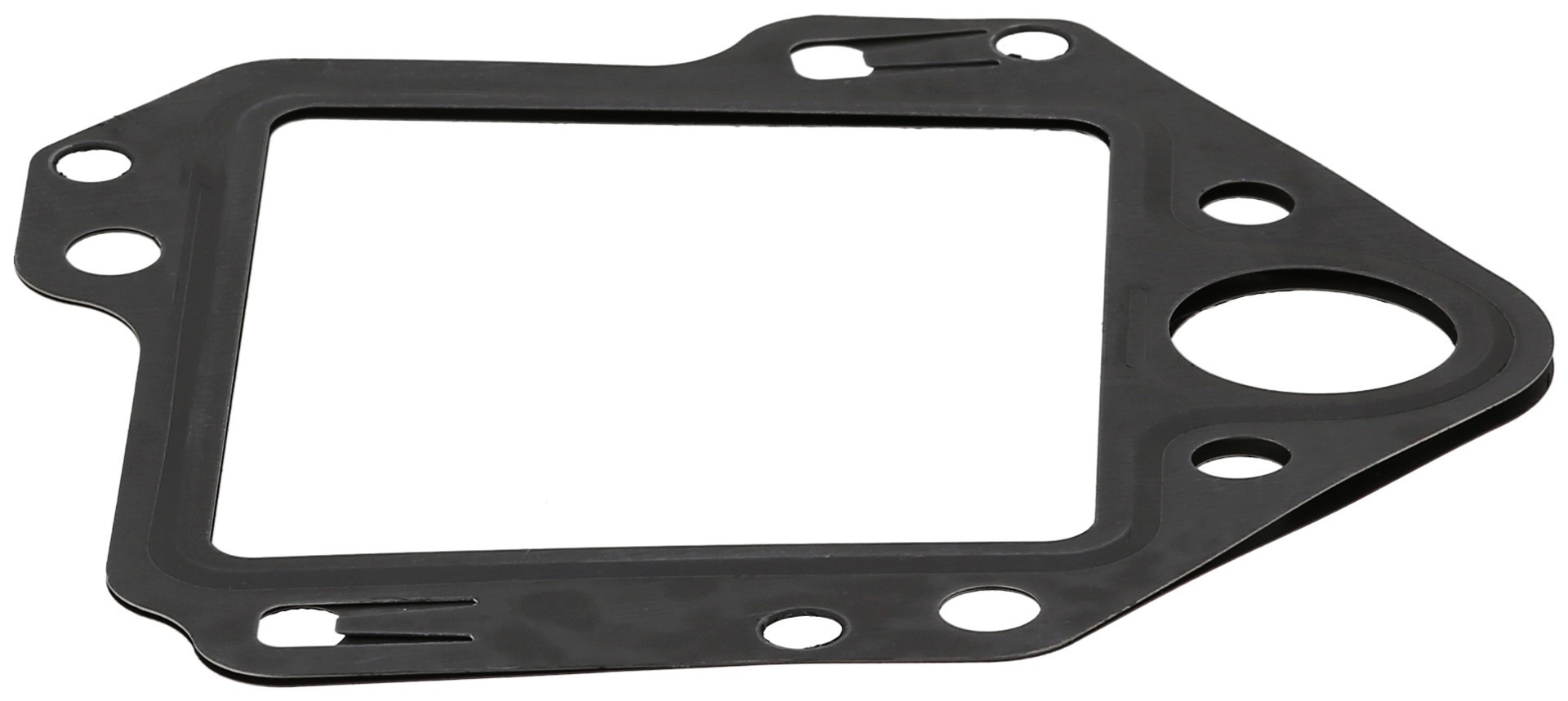 Gasket, EGR Valve