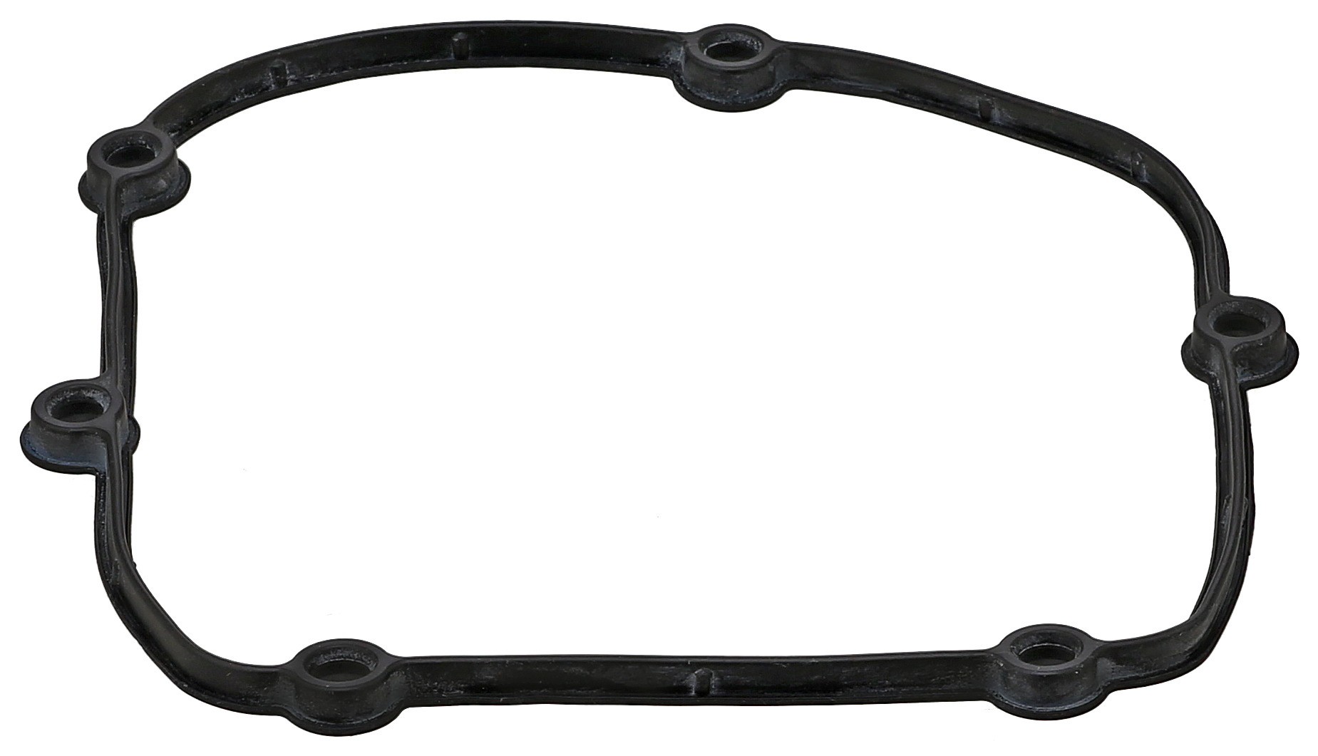 Gasket, Timing Case Cover