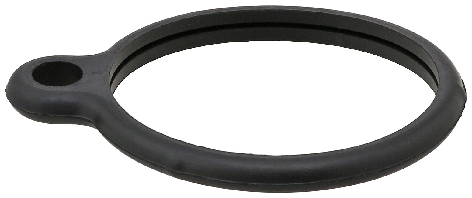 Seal, Thermostat