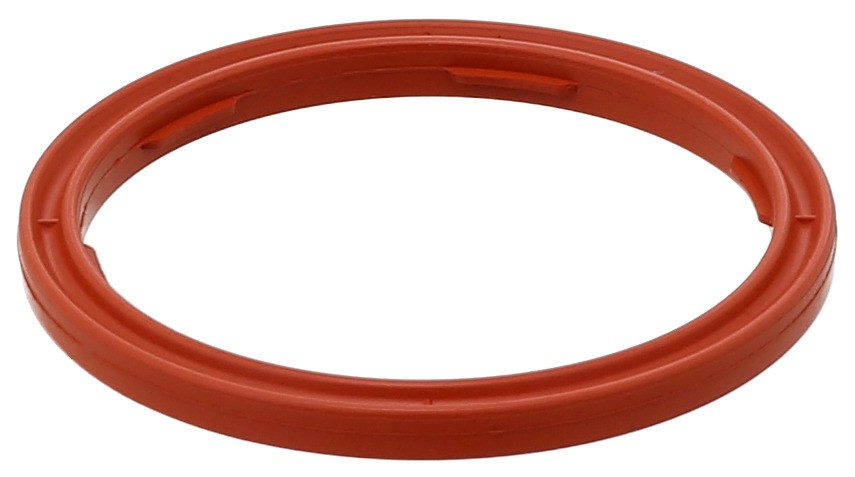 Seal Ring, Oil Level Sensor