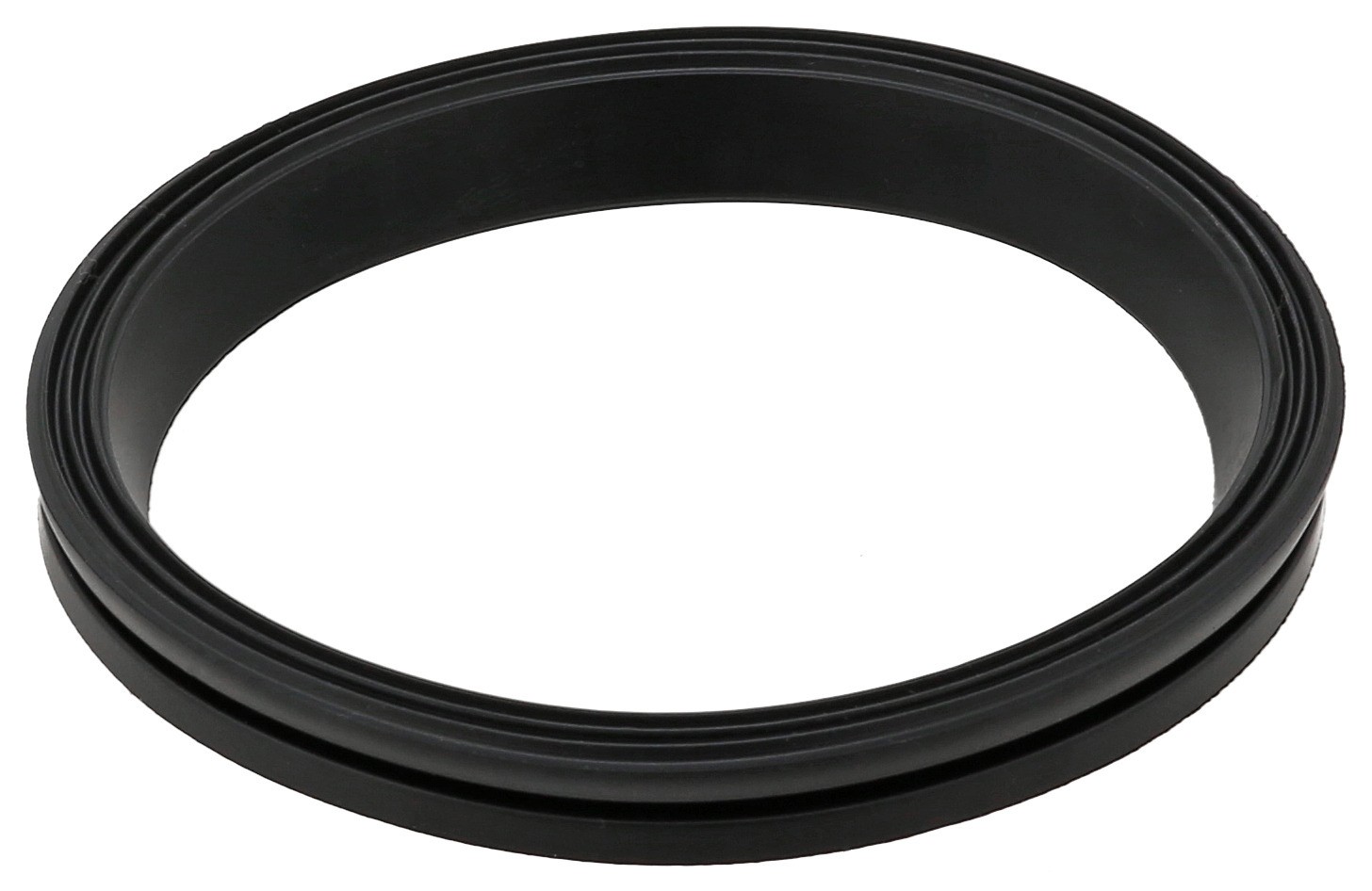 Gasket, Timing Case Cover