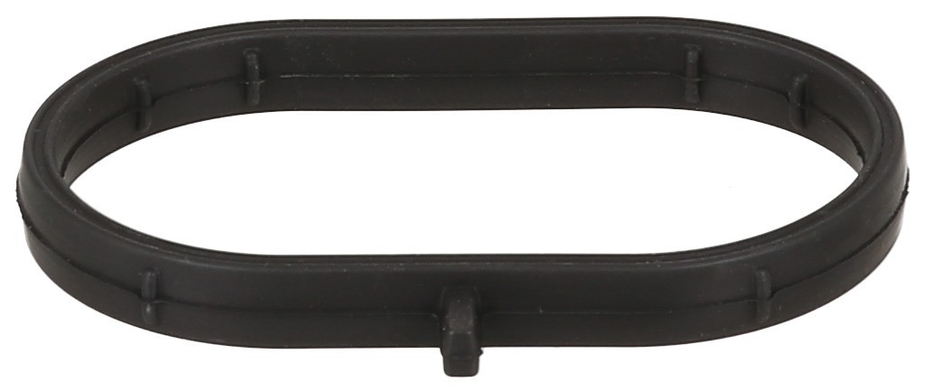 Seal, Throttle Body Mounting