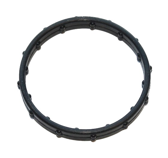Gasket, Coolant Flange