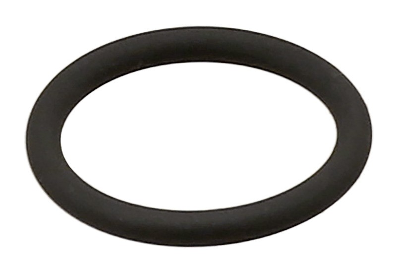 Seal Ring, Oil Level Sensor