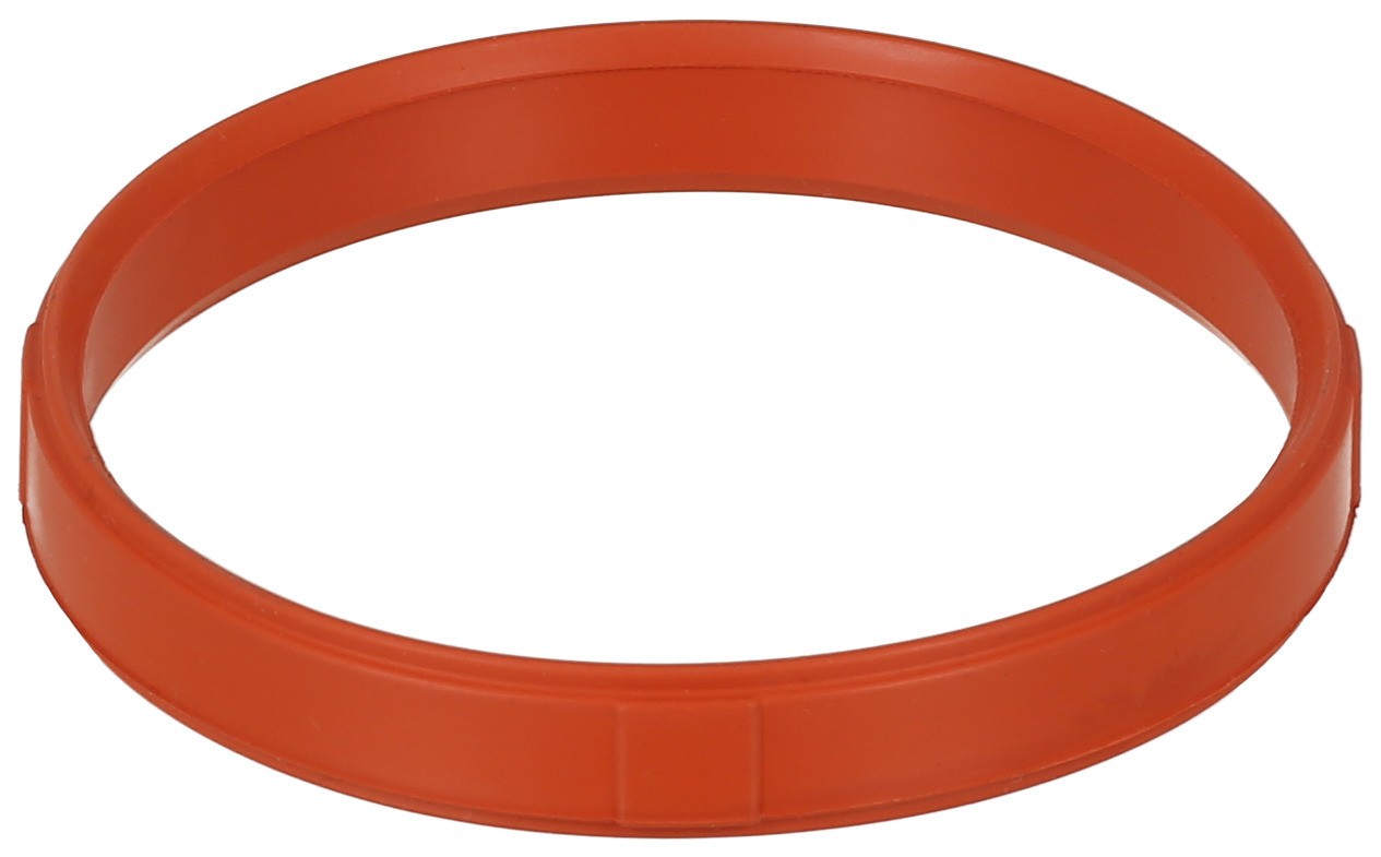 Seal, Throttle Body Mounting
