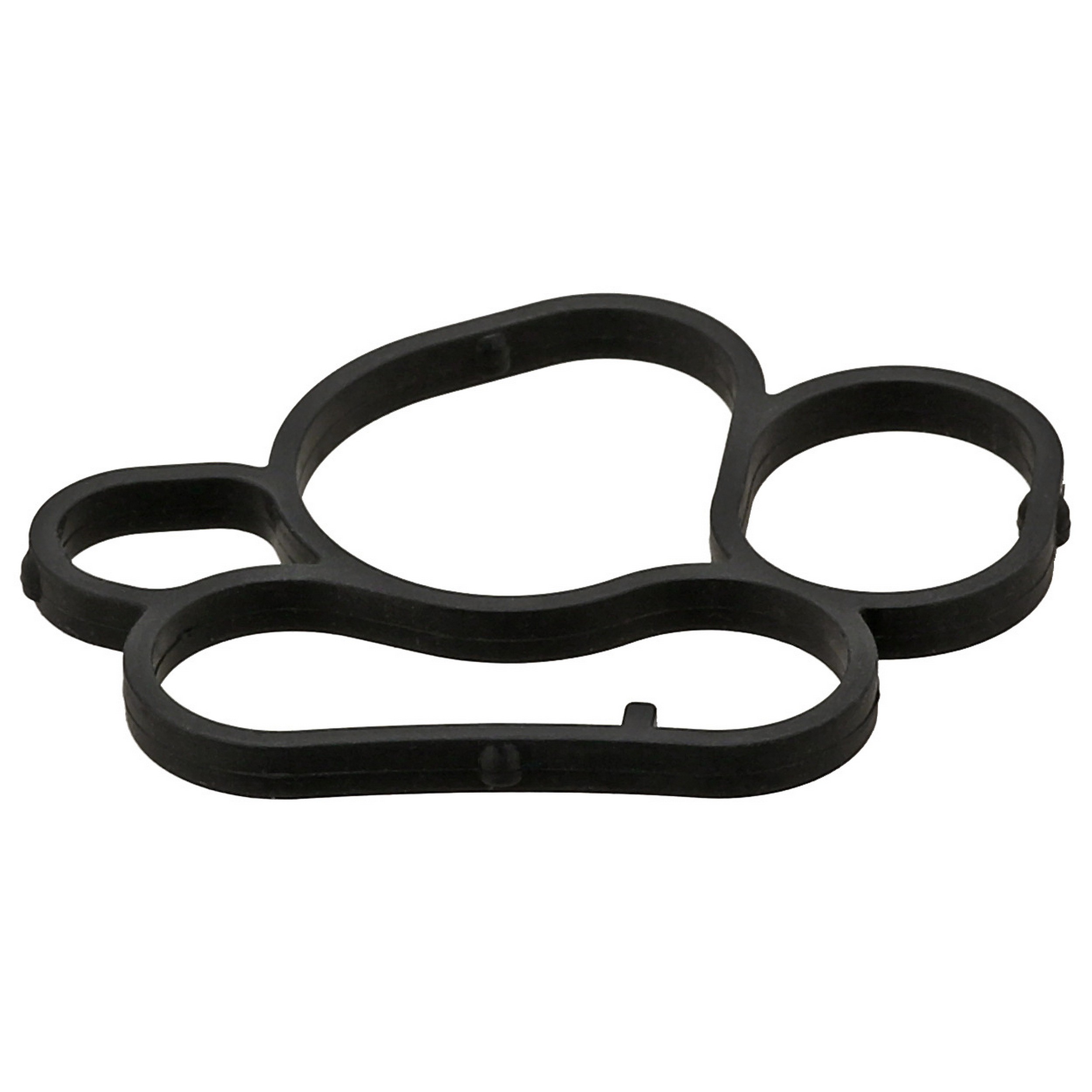 Gasket, Oil Filter Housing