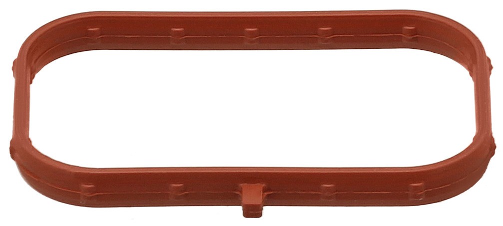 Gasket, Intake Manifold