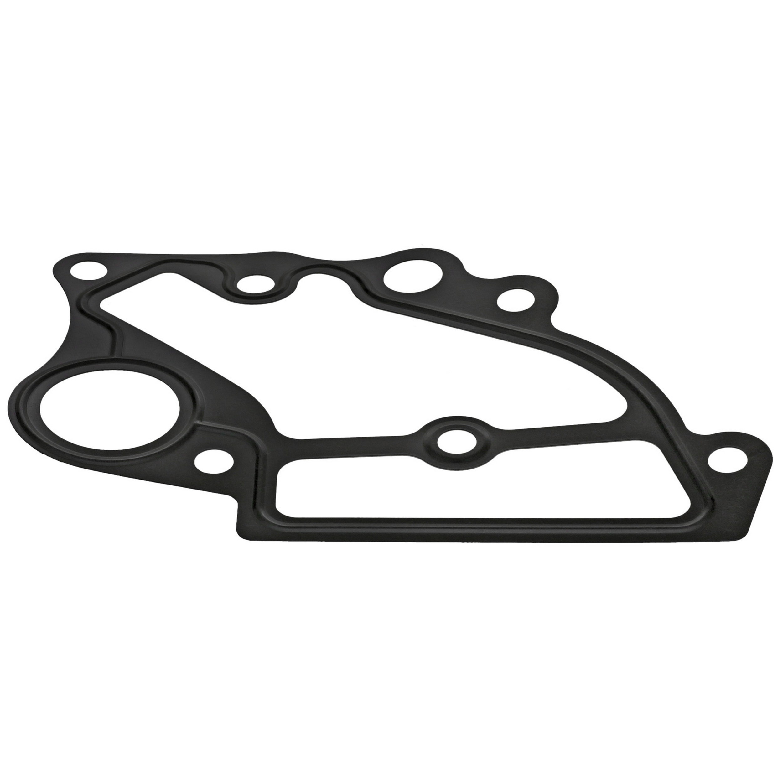 Gasket, Coolant Flange