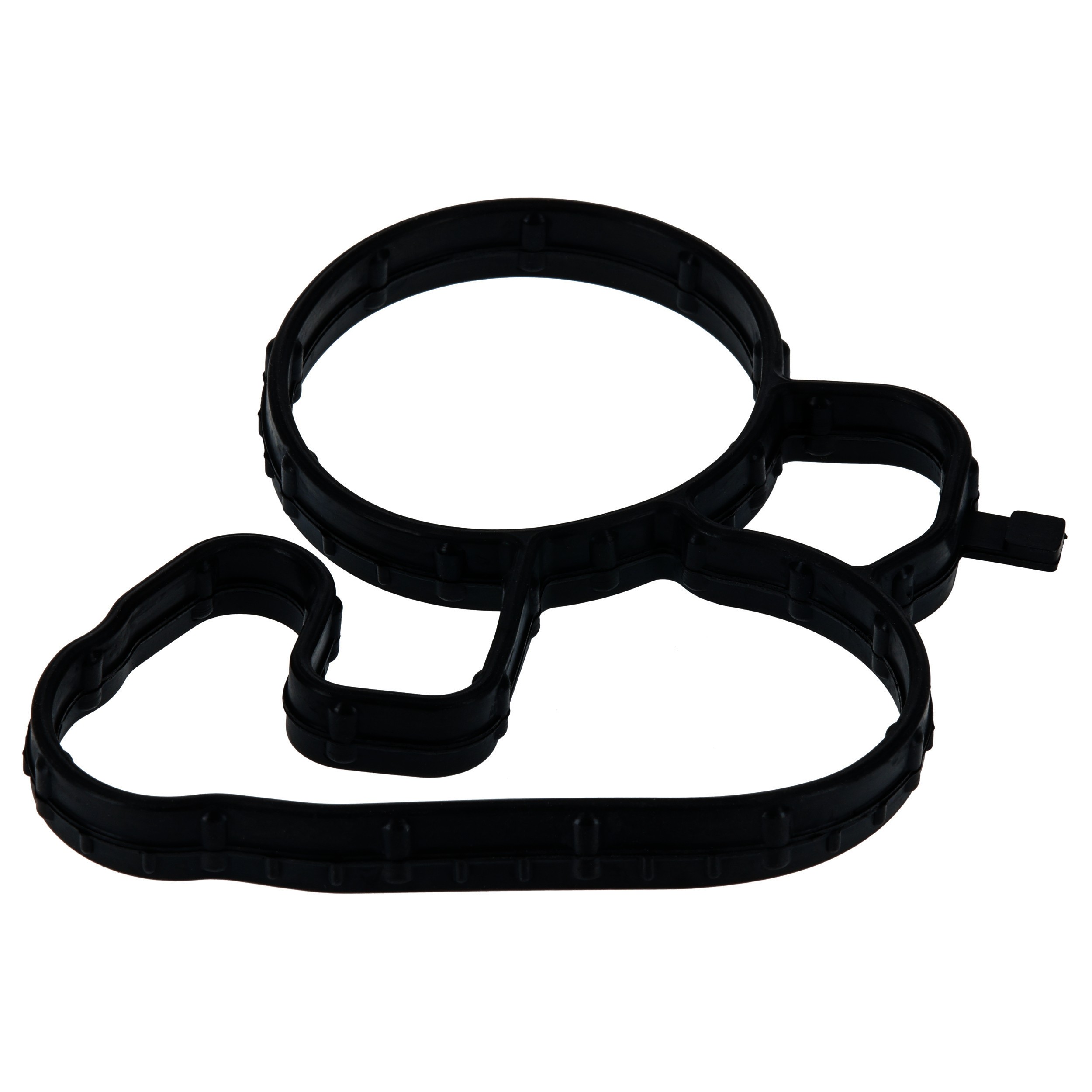 Gasket, Oil Filter Housing