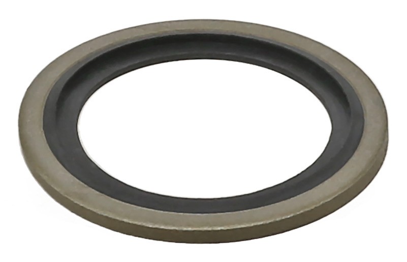 Seal, Timing Chain Tensioner