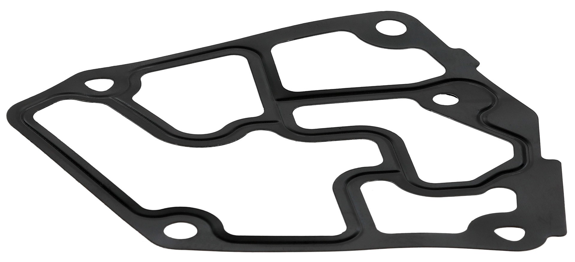 Gasket, Oil Filter Housing
