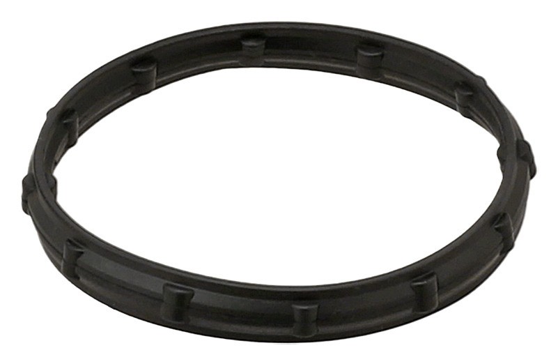Seal Ring, PCV Valve Hose