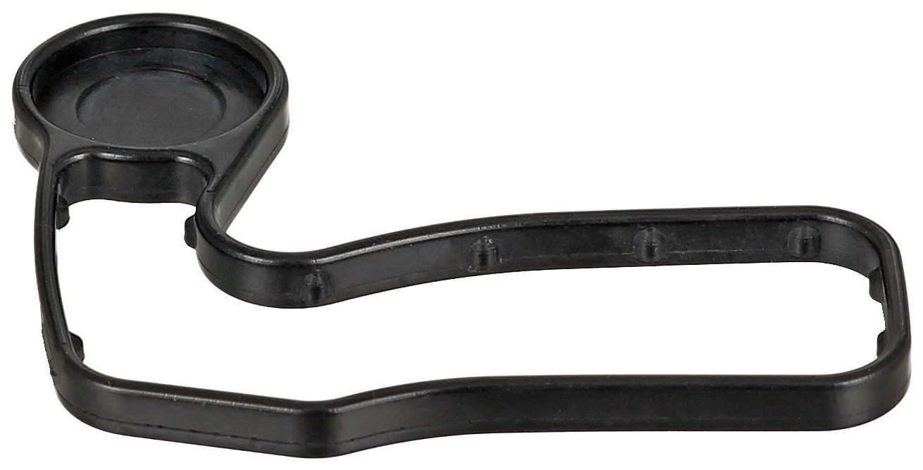 Gasket, Timing Case Cover