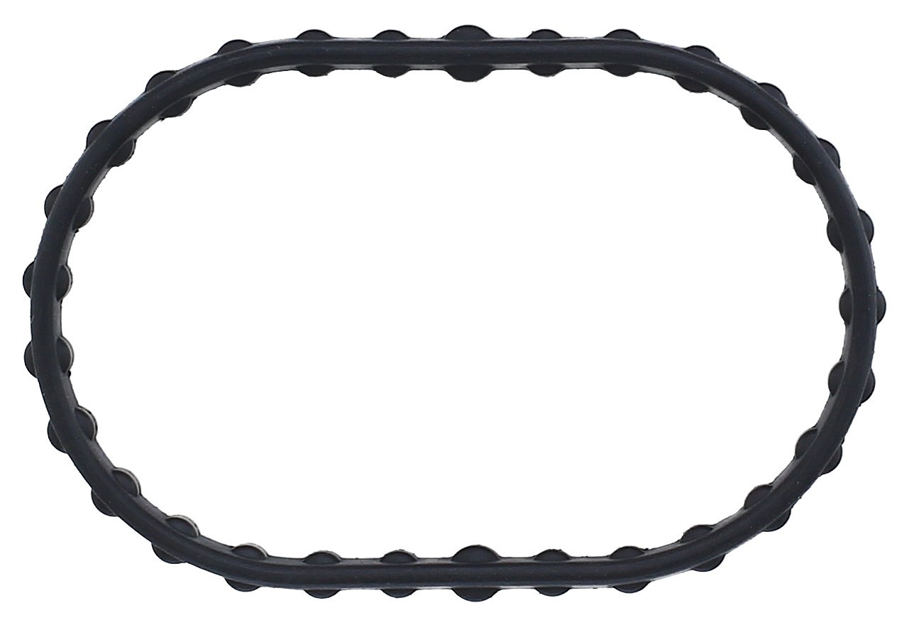 Gasket, Coolant Flange