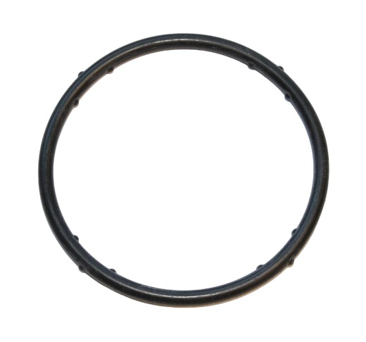 Gasket, Coolant Flange