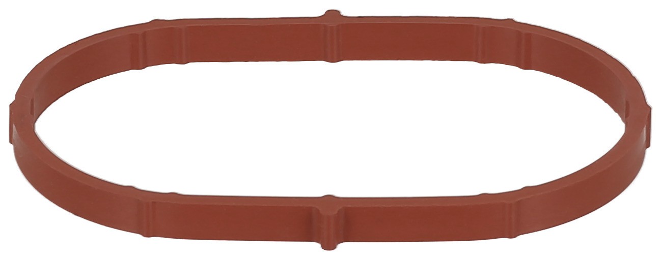 Gasket, Intake Manifold