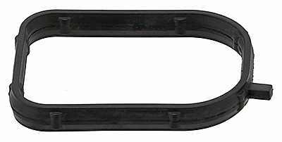 Gasket, Coolant Flange