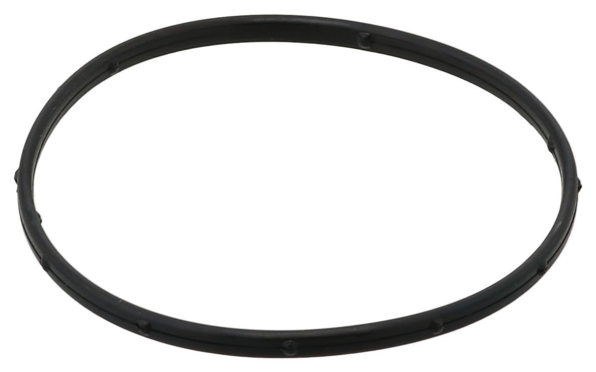 Gasket, Thermostat Housing