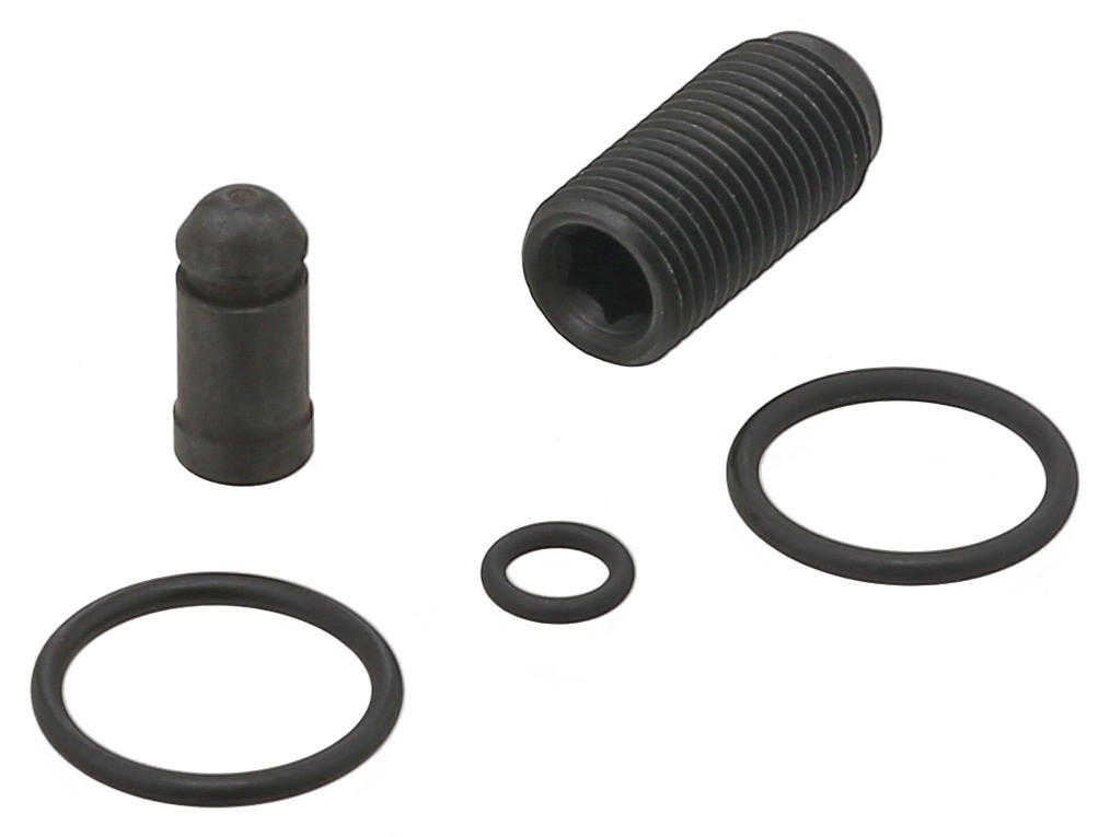 Seal Ring Kit, Fuel Injector