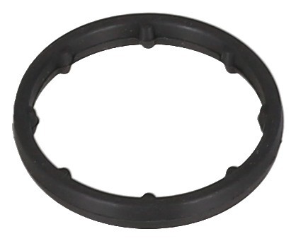 Gasket, Oil Cooler